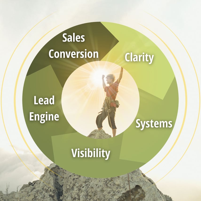 Flywheel of our 5 drivers for Momentum in your business.
